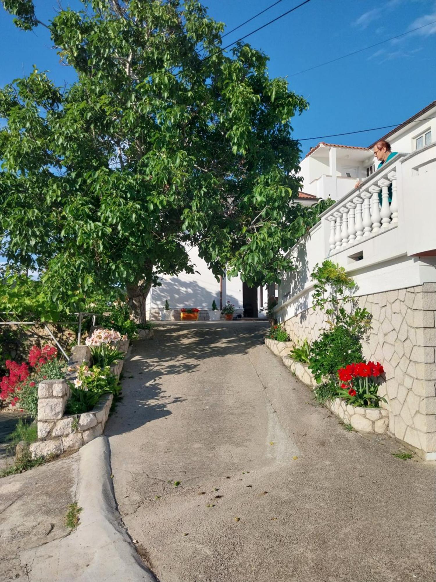 Ljubica Apartments And Rooms Супетарска-Драга Экстерьер фото